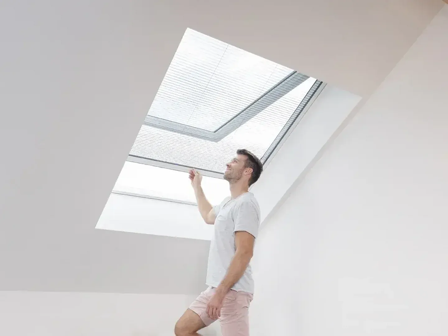 Dachfenster