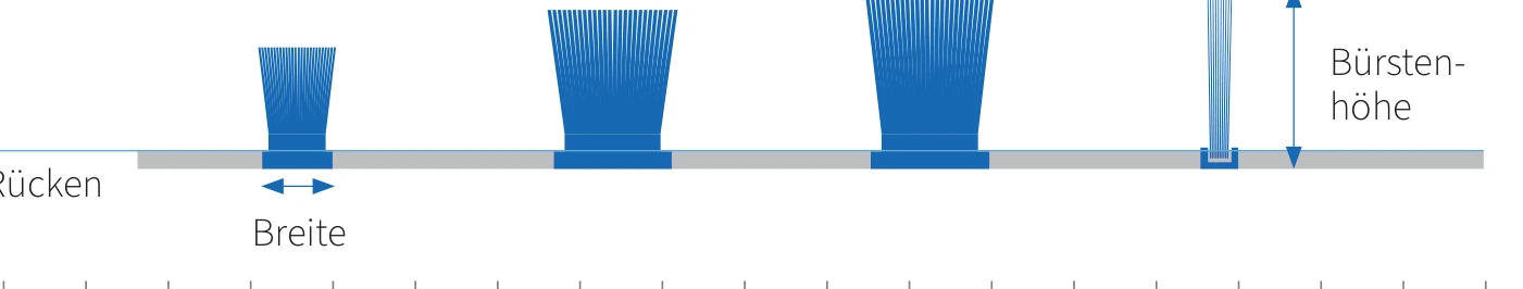 Rückenbreite und Bürstenhöhe