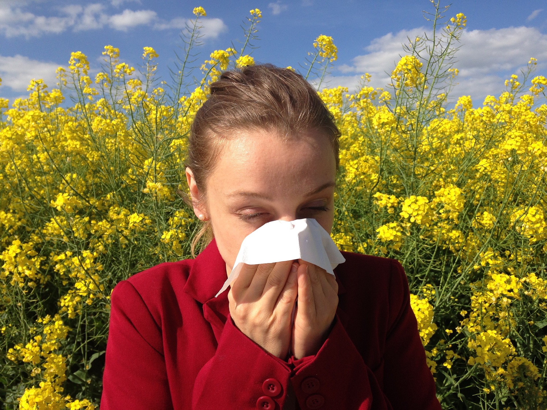Pollenschutz für Allergiker | fliegengitter mit Pollenschutz